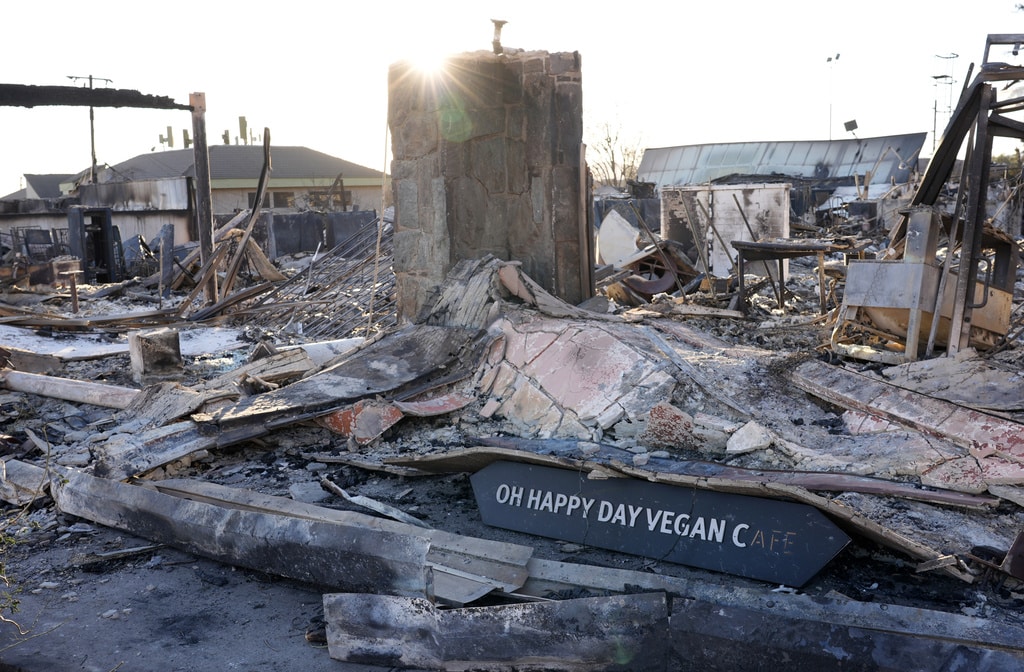 The ash left behind by LA wildfires might be toxic, experts warn