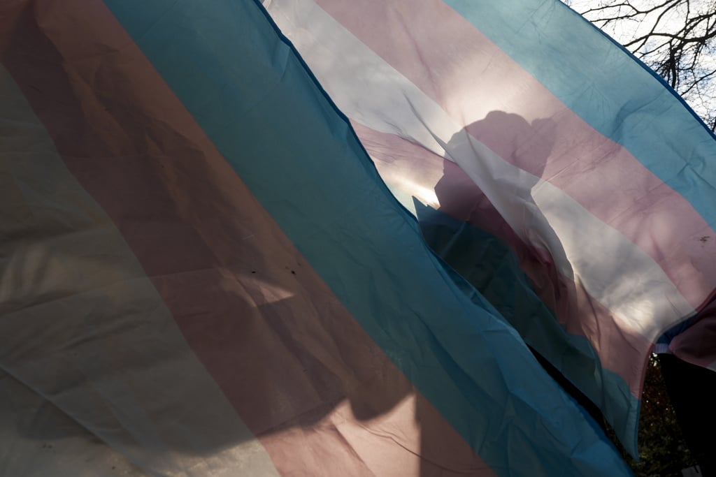 Under new Trump administration, this year’s Transgender Day of Visibility has different tenor