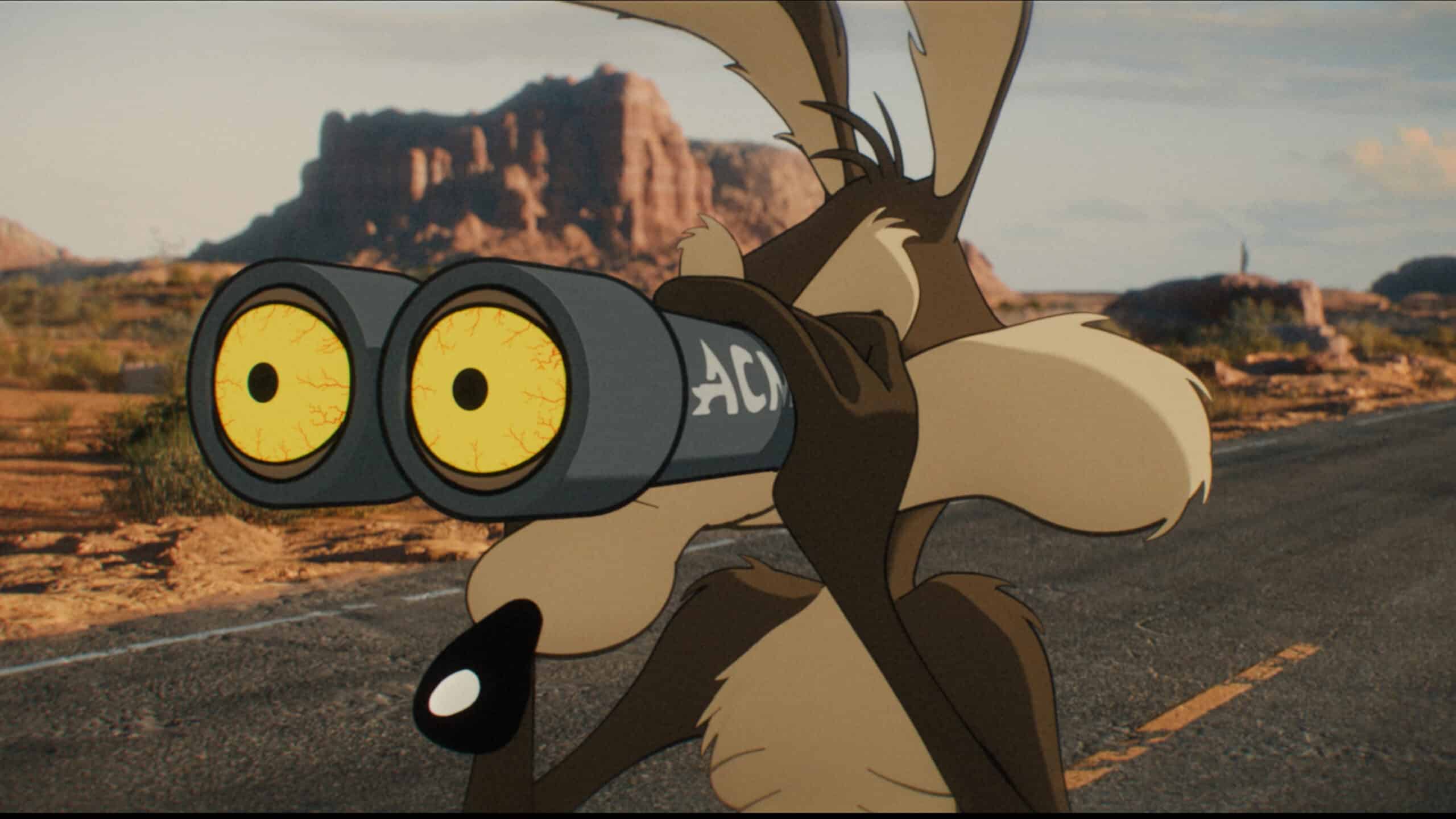 Coyote vs. Acme