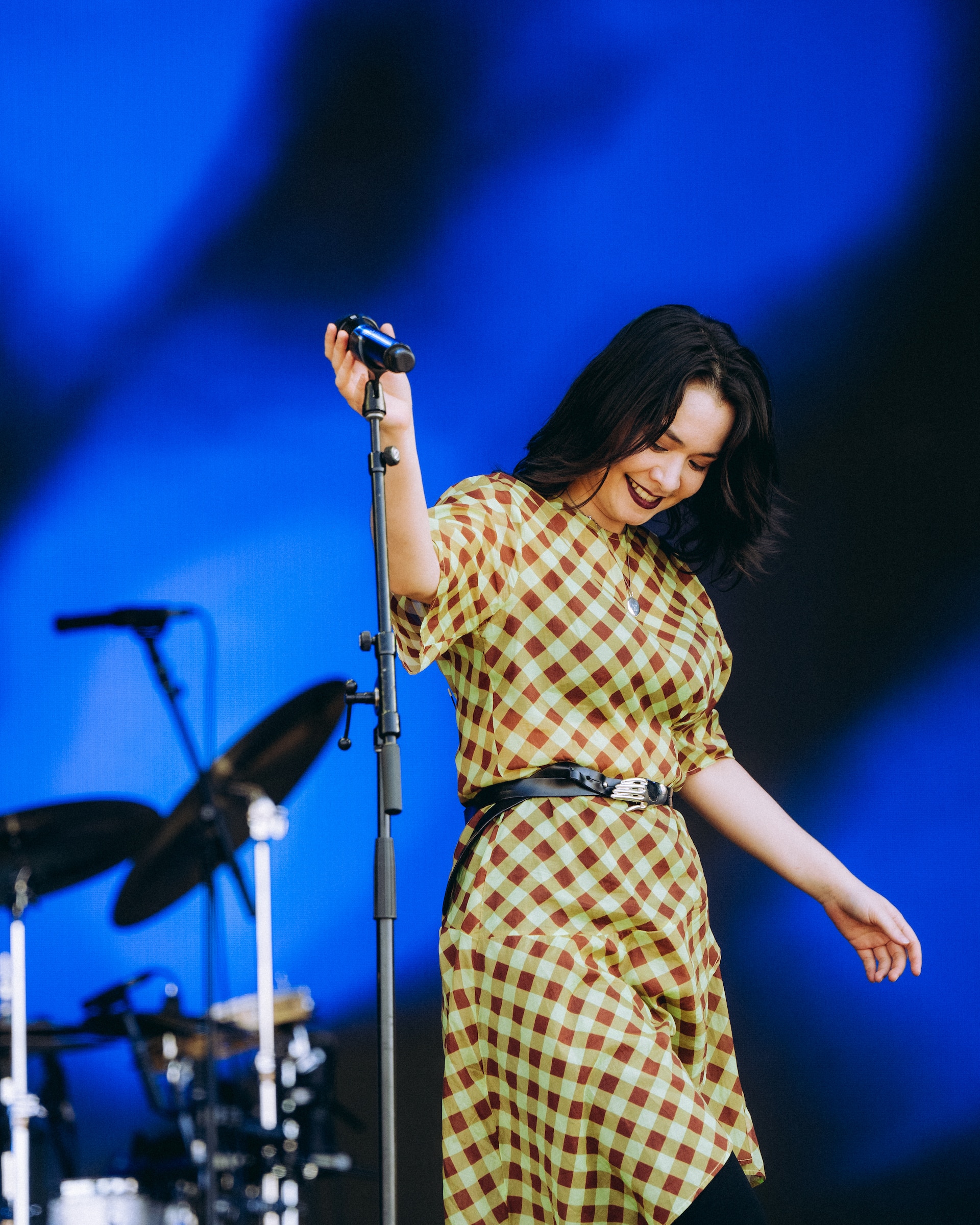 Daisy Chain Fields Mitski