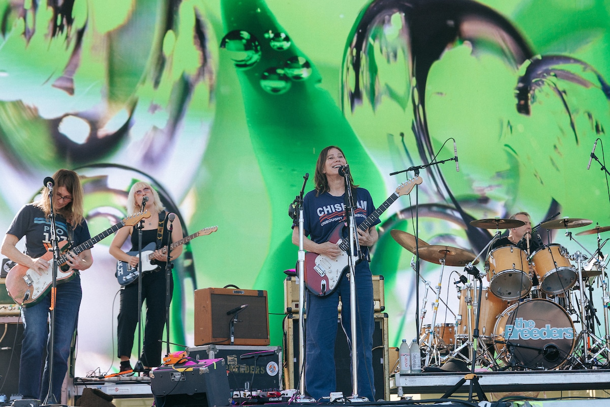 Daisy Chain Fields The Breeders